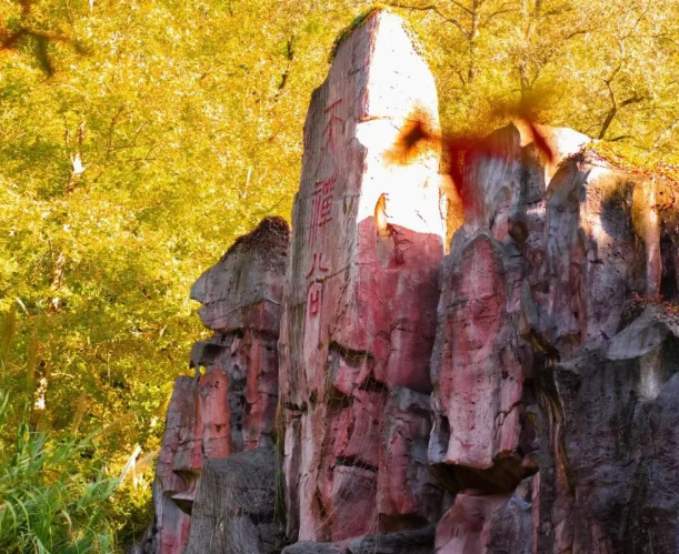 /uploads/image/2025/11/07/41359173d5cd60f575f499a85e5da438.png /uploads/image/2025/11/07/41359173d5cd60f575f499a85e5da438.png