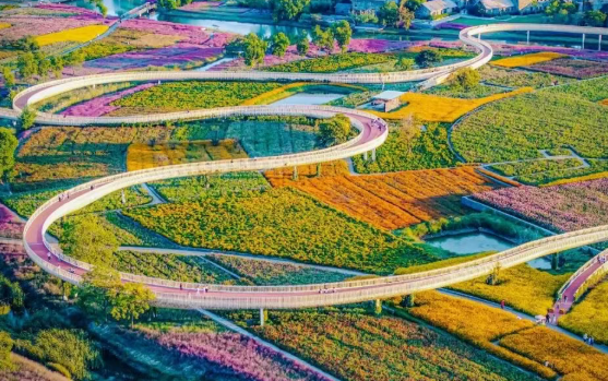 /uploads/image/2025/11/07/94bdfbdf042e4e76ba75b8dd573d5c13.png /uploads/image/2025/11/07/94bdfbdf042e4e76ba75b8dd573d5c13.png