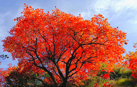 /uploads/image/2025/11/07/739159edd44ef354711d196e2e9a86ed.png /uploads/image/2025/11/07/739159edd44ef354711d196e2e9a86ed.png