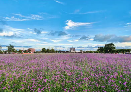 /uploads/image/2025/11/07/761b1cda810d73f87fefdaed77de4141.png /uploads/image/2025/11/07/761b1cda810d73f87fefdaed77de4141.png