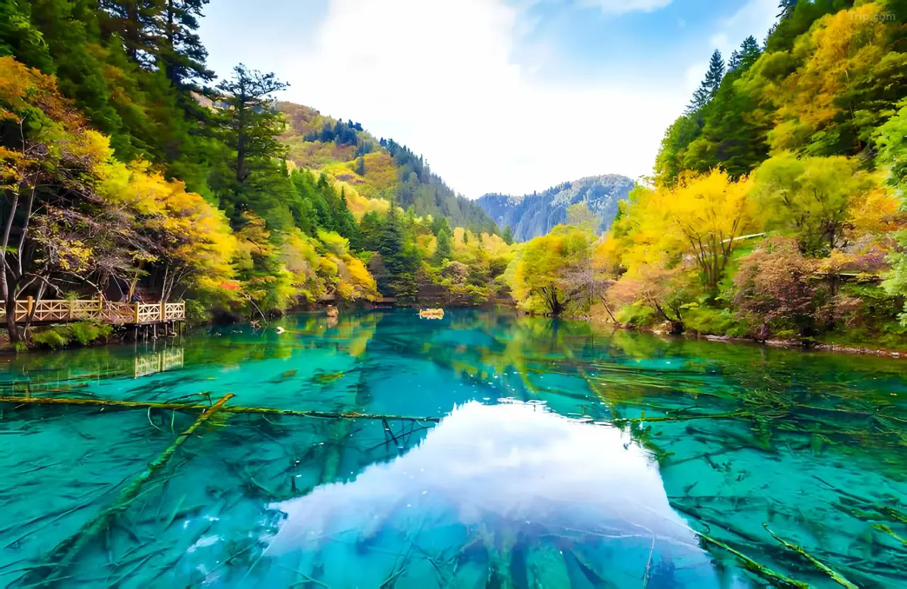 /uploads/image/2025/11/07/ab74710e08e49d32f539dda0abc348dd.png 1mc2h12000jzv640dDE2B_W_1280_853_R5.webp.png