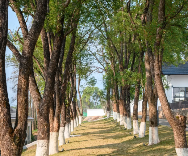韶关旅游年卡 韶关旅游年卡