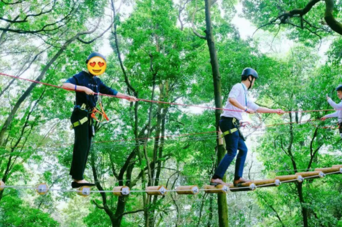 極趣探索主題樂園 極趣探索主題樂園