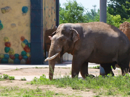 /uploads/image/2025/11/08/2a547054a9a3eea04ec840e7b77b1223.png /uploads/image/2025/11/08/2a547054a9a3eea04ec840e7b77b1223.png