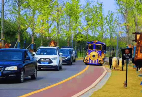 /uploads/image/2025/11/08/44d1e53eeddb006ae59b0022873c2e25.png /uploads/image/2025/11/08/44d1e53eeddb006ae59b0022873c2e25.png