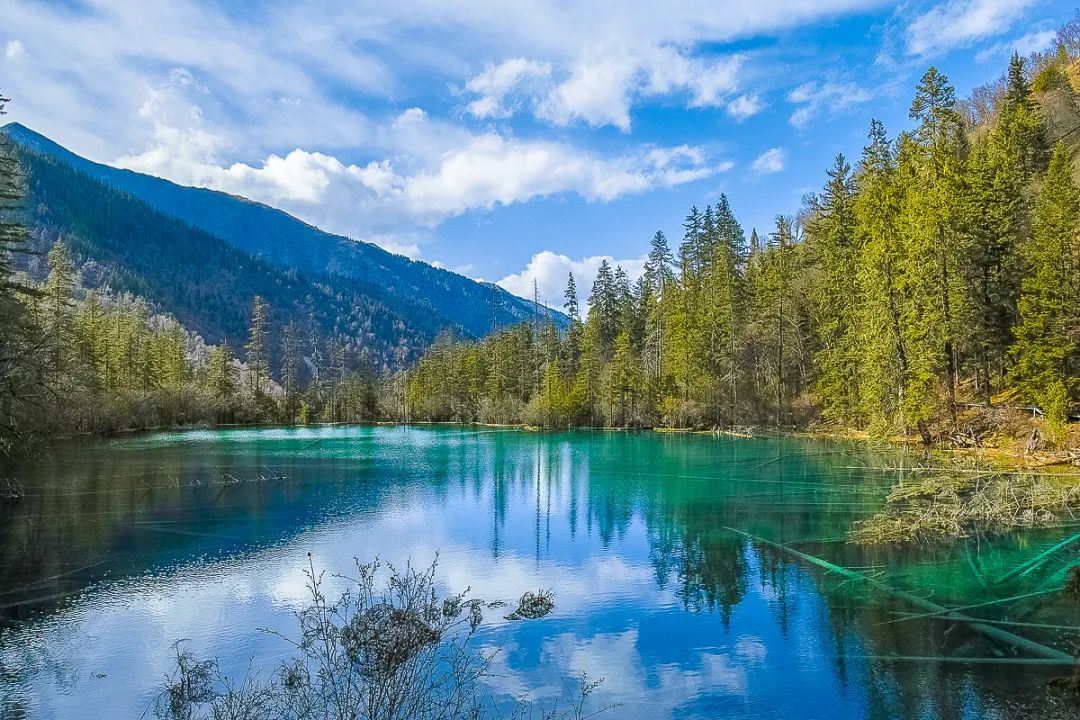 /uploads/image/2025/11/08/deb010c875ea387334b06c85f346d16b.jpg /uploads/image/2025/11/08/deb010c875ea387334b06c85f346d16b.jpg