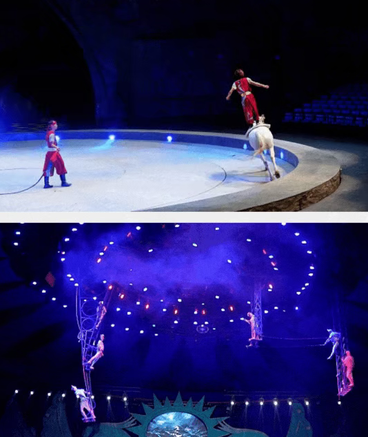 周口野生動(dòng)物世界