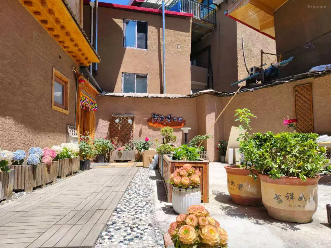 /uploads/image/2025/11/08/fd6cfb53c74b4f5e289f83aaabe4e937.png 院子.webp.png