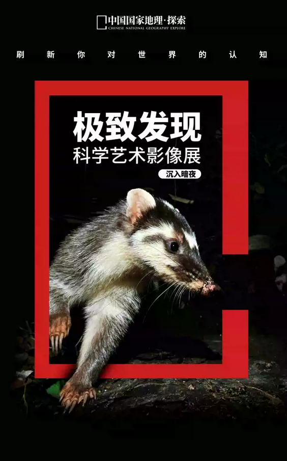 /uploads/image/2025/07/12/11f843994cc8508070f062a3074ecd74.png 图片.png