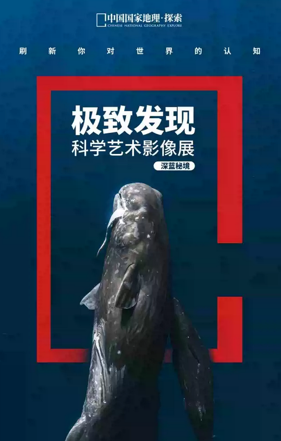 /uploads/image/2025/07/12/c2e0a8ae0ad139267cc93a3cc4e5af01.png 图片.png