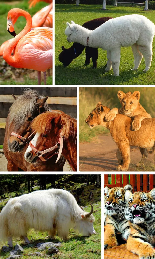 江门长廊生态园 江门长廊生态园