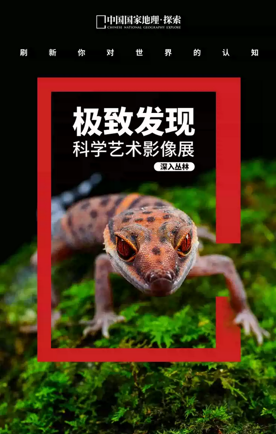 /uploads/image/2025/07/12/1ecf93cd860a9a4966c84c174f4029c9.png 图片.png