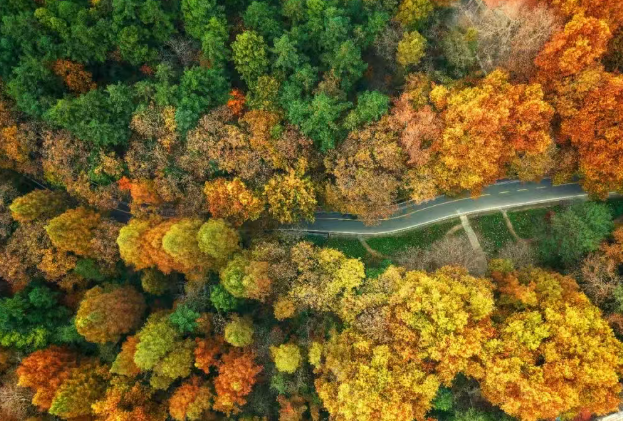 /uploads/image/2025/11/11/1553df03b7cf3b585ca5b802ef784ec9.png /uploads/image/2025/11/11/1553df03b7cf3b585ca5b802ef784ec9.png