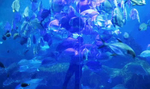 /uploads/image/2025/11/11/ca5d3fcd199c9d01769f170c0d68a80f.png /uploads/image/2025/11/11/ca5d3fcd199c9d01769f170c0d68a80f.png