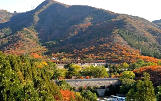 京津冀名胜文化休闲旅游年卡 京津冀名胜文化休闲旅游年卡