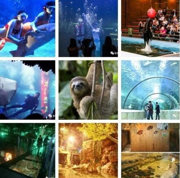 洛阳龙门海洋馆