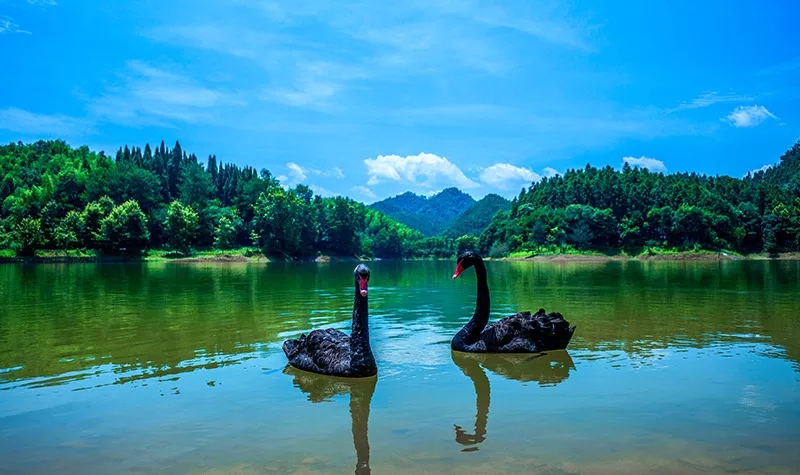 /uploads/image/2025/11/12/593c94a8171e8bf24aa80fb018c3c9fe.jpg /uploads/image/2025/11/12/593c94a8171e8bf24aa80fb018c3c9fe.jpg