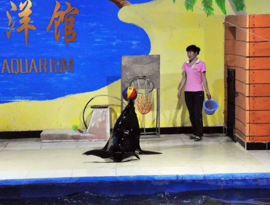 洛阳龙门海洋馆