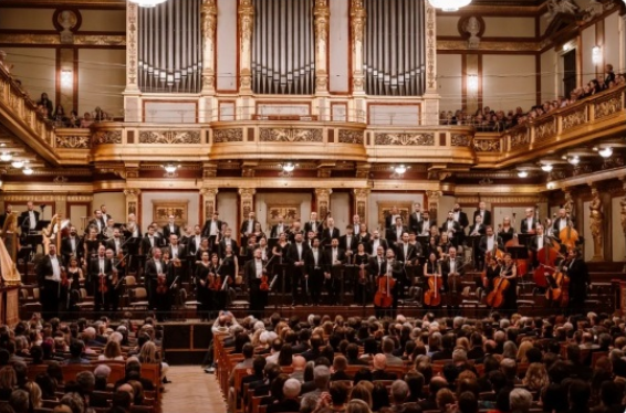 /uploads/image/2025/11/13/8eecedef2bf0e69fedf01bd198b2e34a.png 图片.png