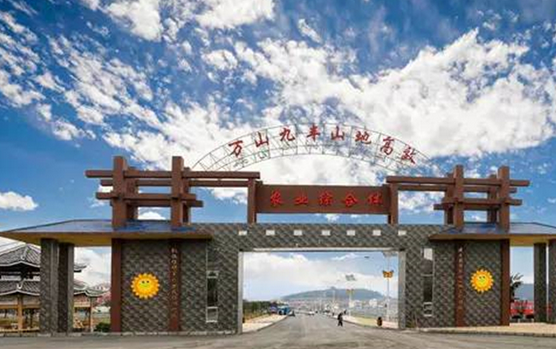 /uploads/image/2025/11/13/12d8459bd29082a1bb2e045b244ba326.png /uploads/image/2025/11/13/12d8459bd29082a1bb2e045b244ba326.png