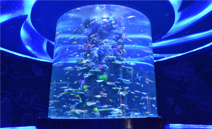 /uploads/image/2025/11/13/636d13c1fffafb0bd1ce847caa1c8d3a.jpg /uploads/image/2025/11/13/636d13c1fffafb0bd1ce847caa1c8d3a.jpg