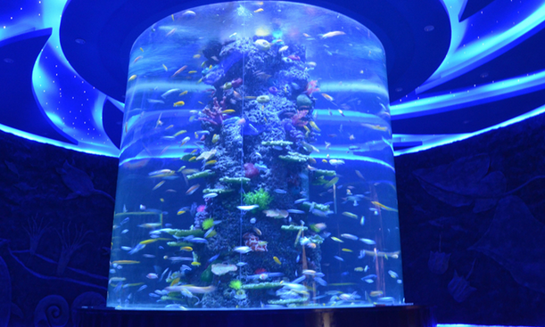 /uploads/image/2025/11/13/439f02b363a06e7e3efb4746bae86d9a.png /uploads/image/2025/11/13/439f02b363a06e7e3efb4746bae86d9a.png