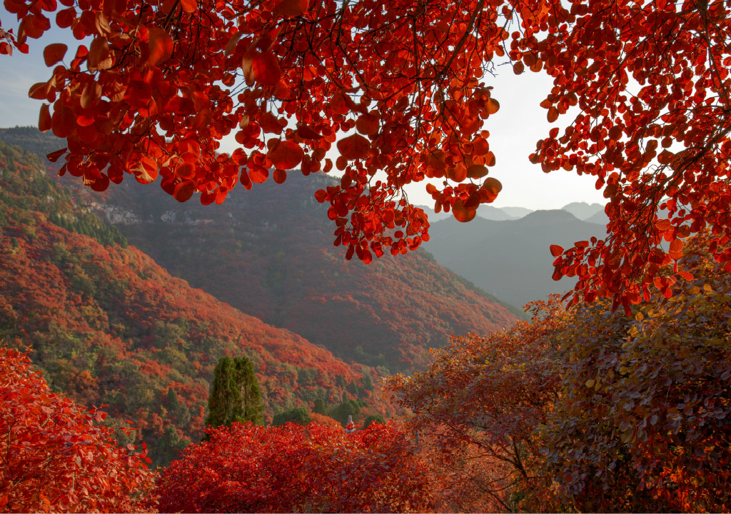 临朐石门坊风景区 临朐石门坊风景区