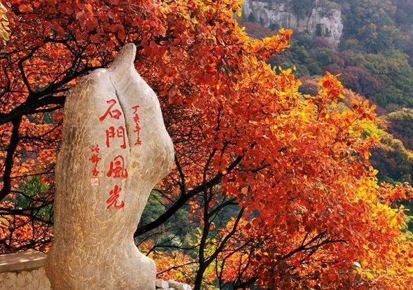 /uploads/image/2025/11/13/017e91e031db1bf2d22af259af87cba4.png /uploads/image/2025/11/13/017e91e031db1bf2d22af259af87cba4.png