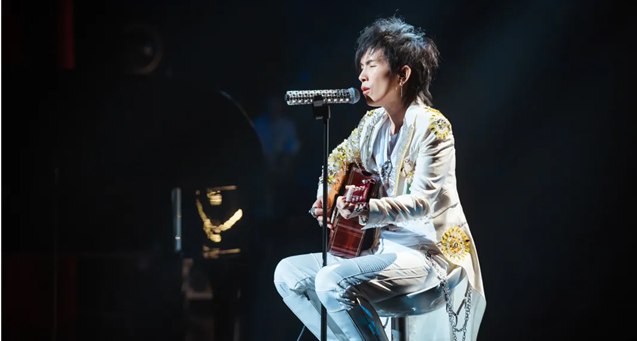 潘美辰合肥跨年演唱会