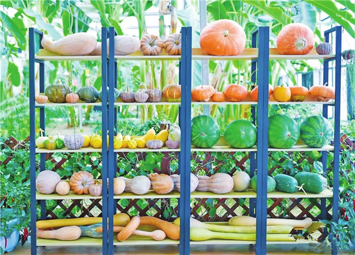 九丰农业博览园 九丰农业博览园