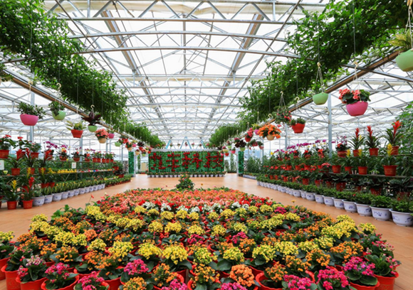 /uploads/image/2025/11/13/f044de6c8ce3ecbd9ee11eef0f2eb198.png /uploads/image/2025/11/13/f044de6c8ce3ecbd9ee11eef0f2eb198.png