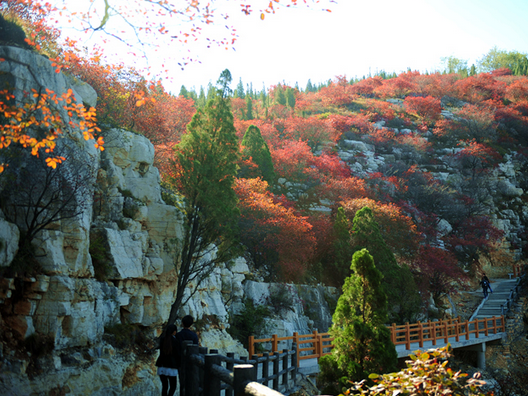 /uploads/image/2025/11/13/678a30396efa2a11b1686969ae9e6596.png /uploads/image/2025/11/13/678a30396efa2a11b1686969ae9e6596.png