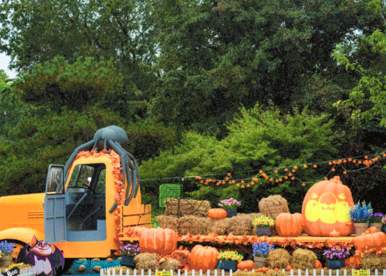 新密银基动物王国 新密银基动物王国