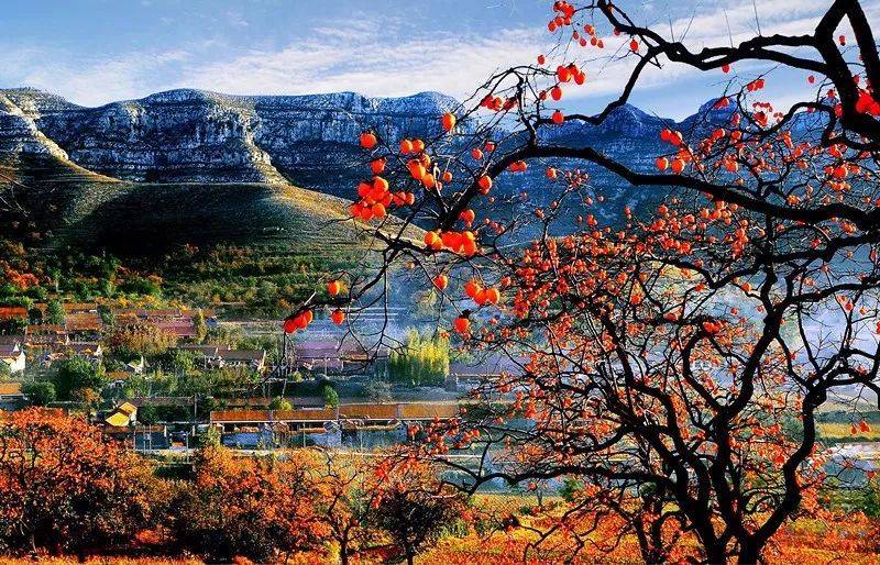 /uploads/image/2025/11/13/595763db8f6af2873a4a36fc0aa85307.jpg /uploads/image/2025/11/13/595763db8f6af2873a4a36fc0aa85307.jpg