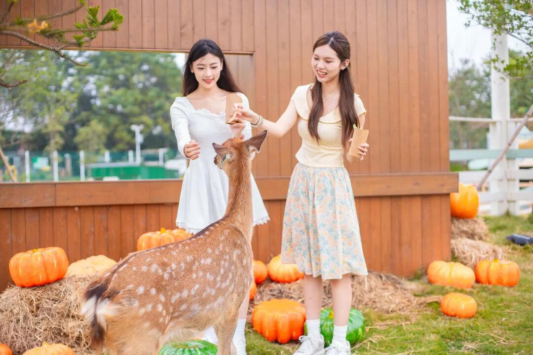 高明盈香生态园 高明盈香生态园