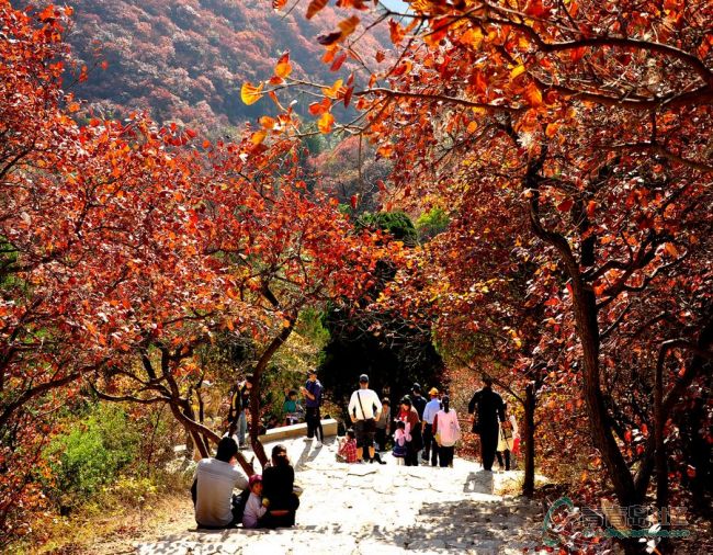 /uploads/image/2025/11/13/8ef75e1e08c2780c57ea9b6f51c232f3.jpg 9dac51bca9e593f9691060de1a334060.jpg