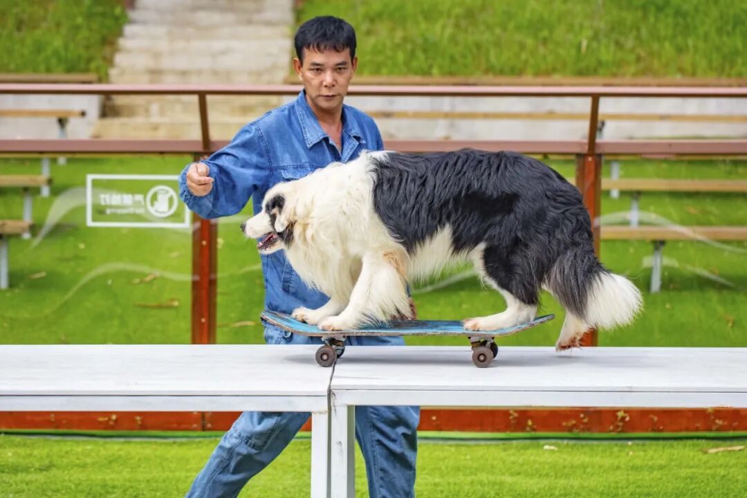 高明盈香生态园 高明盈香生态园