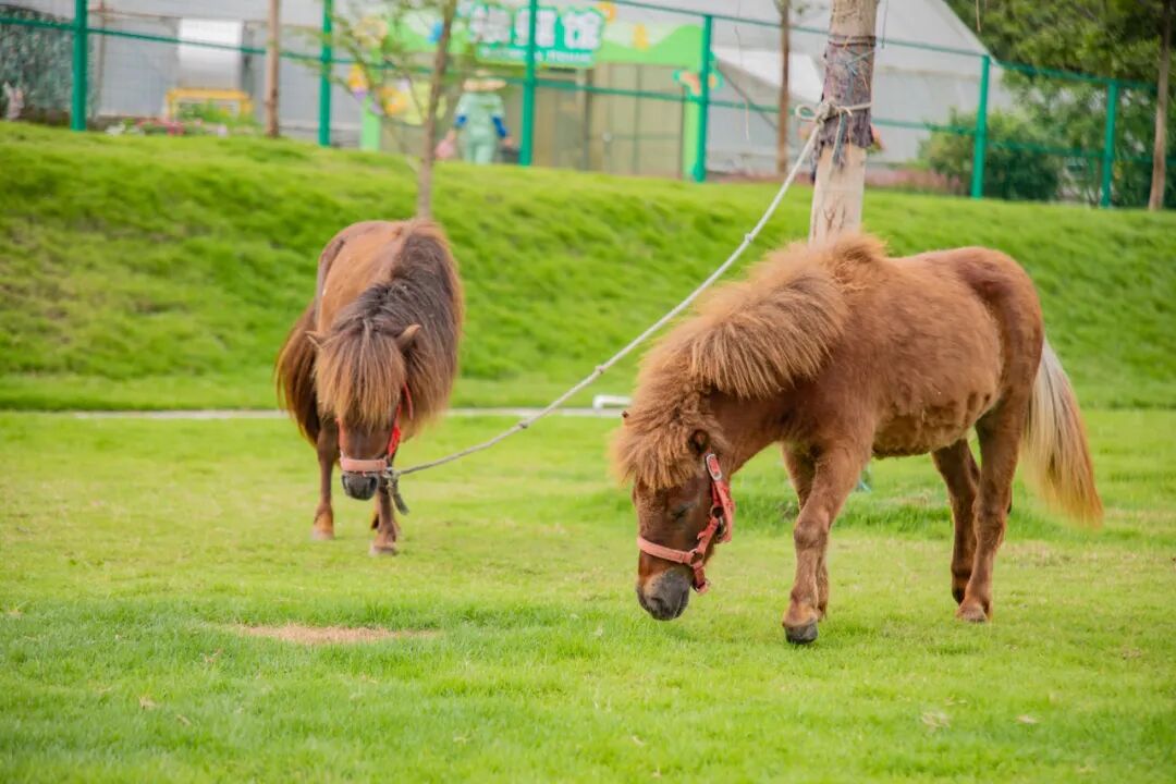 高明盈香生态园 高明盈香生态园
