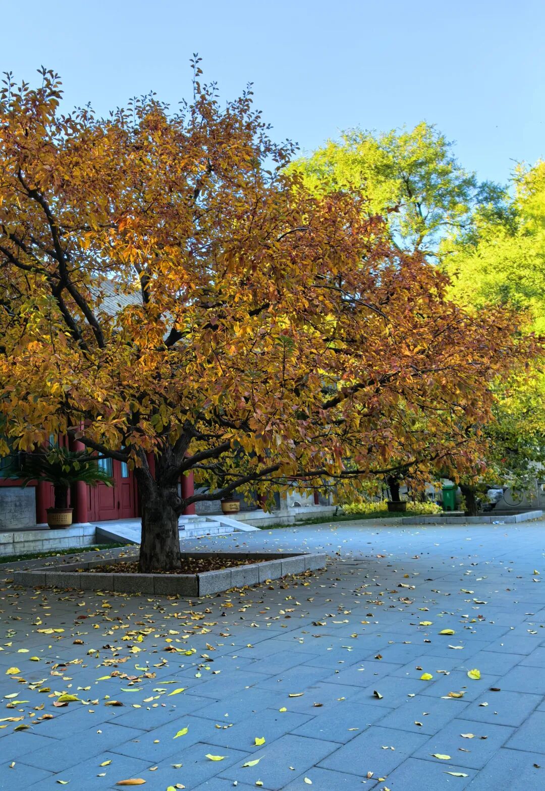 宋庆龄故居 宋庆龄故居