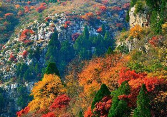 /uploads/image/2025/11/13/d607f7b14c72c96cd3750f1e69fc2d4b.png /uploads/image/2025/11/13/d607f7b14c72c96cd3750f1e69fc2d4b.png