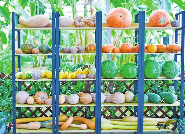 /uploads/image/2025/11/13/d37d3ae56efd13509a9751efbeb4f258.png /uploads/image/2025/11/13/d37d3ae56efd13509a9751efbeb4f258.png