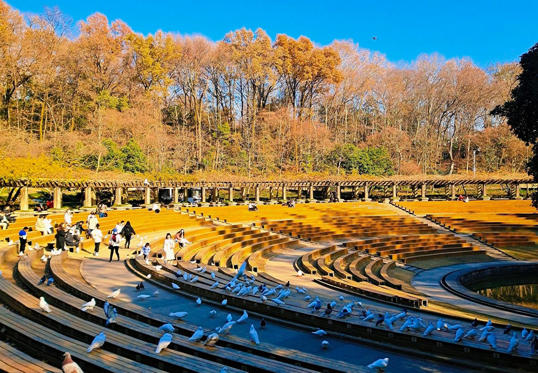 /uploads/image/2025/11/13/c30db5753074149285682f483ae066c9.jpg /uploads/image/2025/11/13/c30db5753074149285682f483ae066c9.jpg