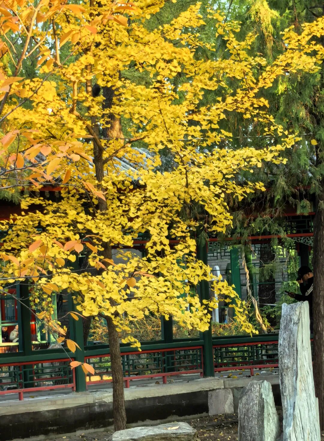 宋庆龄故居 宋庆龄故居