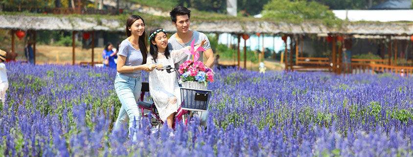 /uploads/image/2025/11/13/f2843d03d9d84c4481e9a5040fd59af6.jpg /uploads/image/2025/11/13/f2843d03d9d84c4481e9a5040fd59af6.jpg