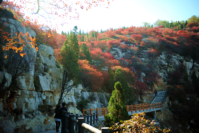 /uploads/image/2025/11/13/c951fa47c1c6643f5bb34b8c6bb886d8.jpg /uploads/image/2025/11/13/c951fa47c1c6643f5bb34b8c6bb886d8.jpg