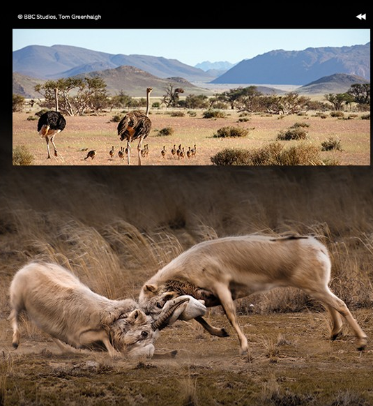 /uploads/image/2025/11/14/9c56a8b6cd02460d4575d6f46d2e4091.png 图片.png