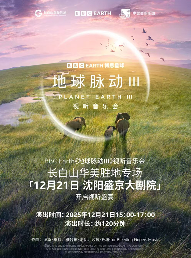 /uploads/image/2025/11/14/16cf5dc5c1c8eca75457608d455d74d8.png 图片.png