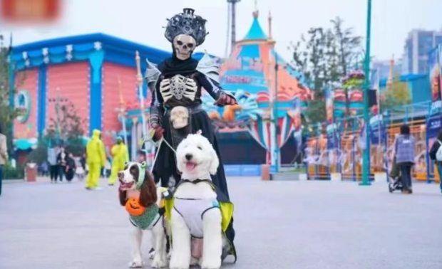 郑州海昌海洋馆