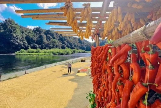 /uploads/image/2025/11/14/5f3406cee9872c1664fd70551eb63a20.png /uploads/image/2025/11/14/5f3406cee9872c1664fd70551eb63a20.png