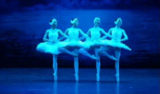 /uploads/image/2025/11/14/8ef63c9f9dd005d79cf48544c7dd7173.png 图片.png